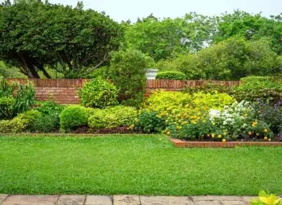 landscaping services Tolchester